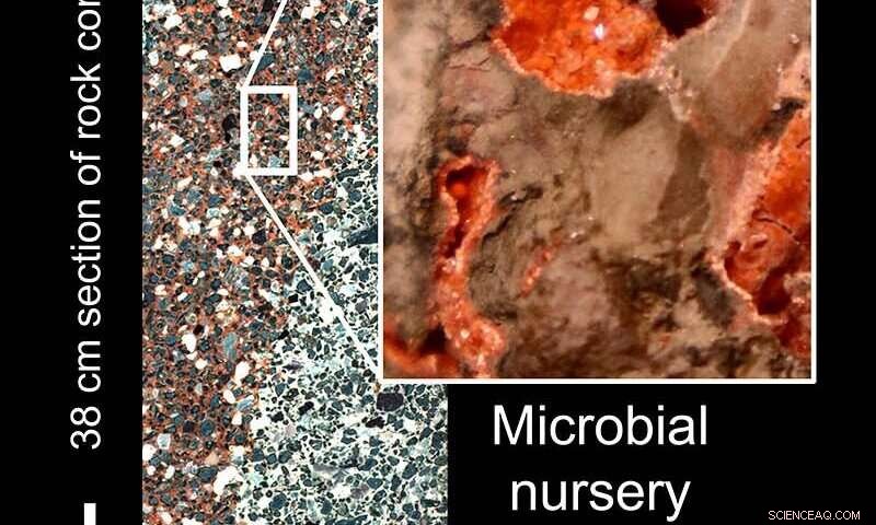 Exploring Subterranean Ecosystems Within the Chicxulub Impact Site
