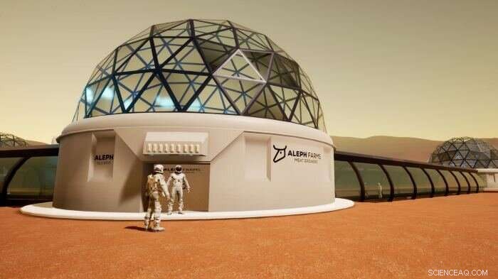 Lab‑Grown Steaks: The Future Food for Astronauts and Mars Explorers