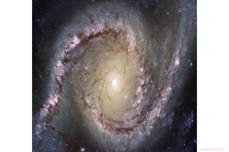 Revealing Dark Matter Through Gravitational Lens Distortions