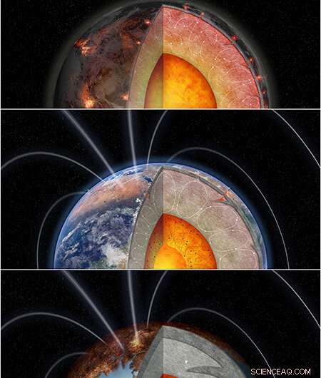 Radioactive Elements Play a Key Role in Making Rocky Planets Habitable