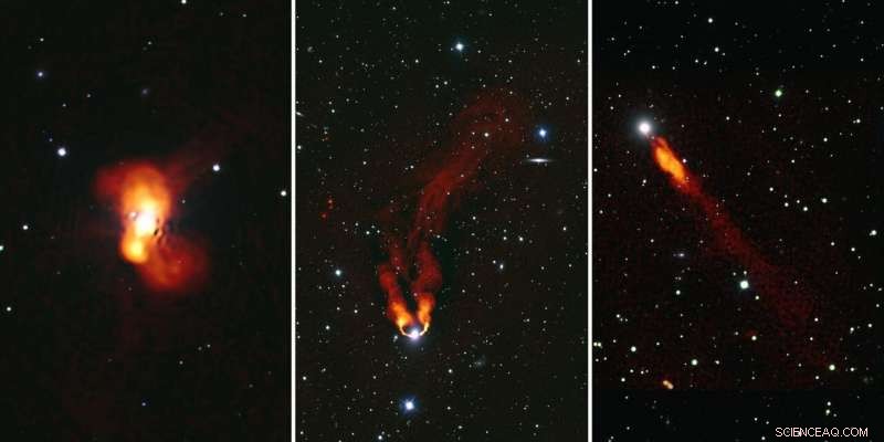 Exploring Galaxies in the Perseus Cluster: NGC 1275, NGC 1265, and IC 310