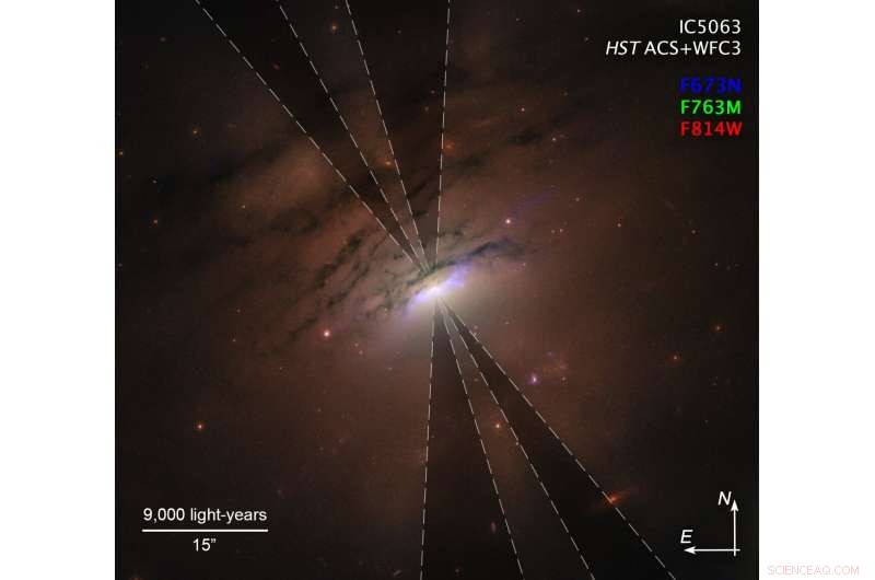 Crowdsourced Social Media Analysis Reveals New Insights into Black Hole Illumination