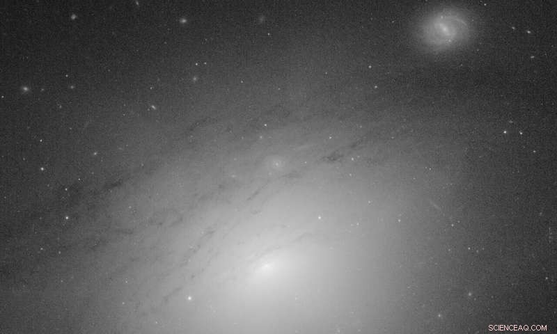 Crowdsourced Social Media Analysis Reveals New Insights into Black Hole Illumination