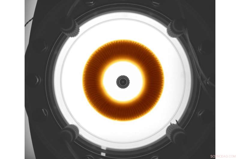 Investigating Liquid Cell Dynamics Under Variable Gravity Conditions