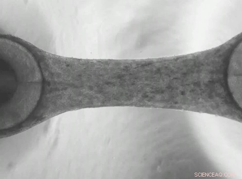 SpaceX’s 21st Cargo Mission Brings Airlock and Asteroid Research to the ISS