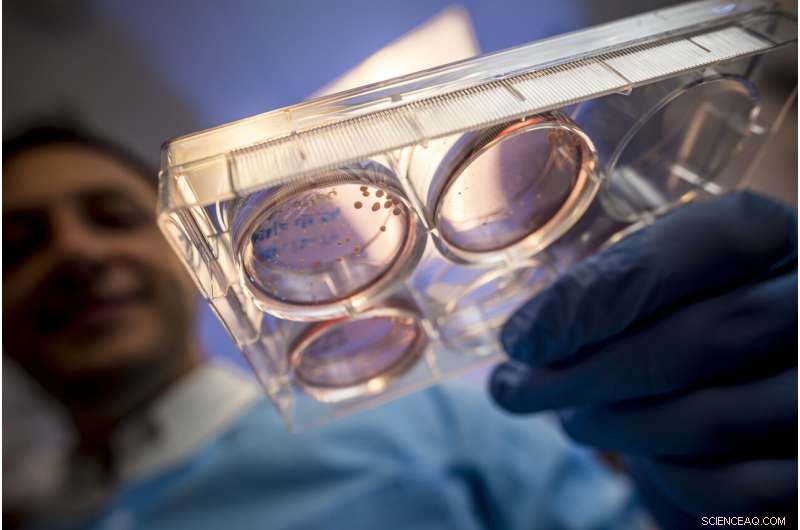 SpaceX’s 21st Cargo Mission Brings Airlock and Asteroid Research to the ISS