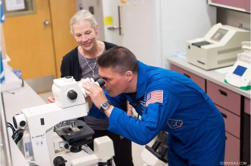 Groundbreaking Study Reveals Health Effects of Long-Duration Spaceflight