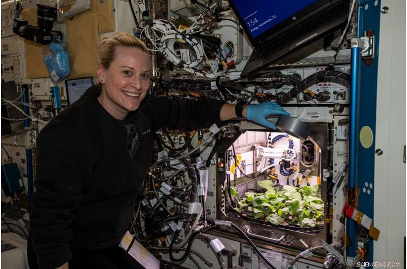 NASA Astronaut Kate Rubins Grows Radishes on the ISS: A Milestone for Space Food