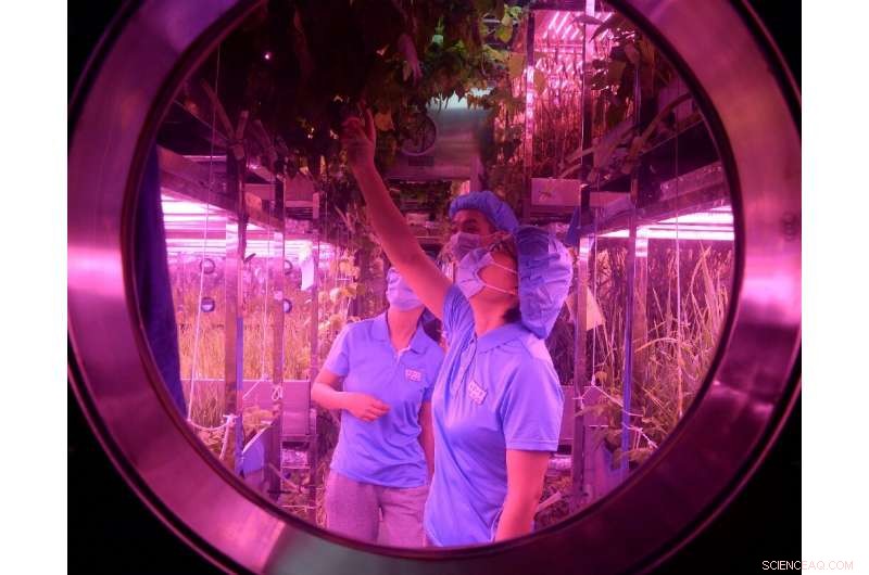 China’s Space Ambition: From Lunar Sample Retrieval to the Final Frontier