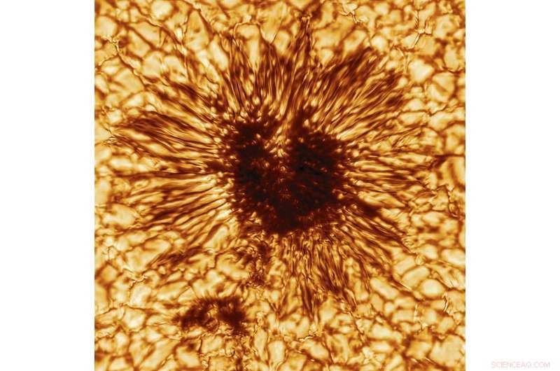 First High-Resolution Sunspot Image Captured by Inouye Solar Telescope