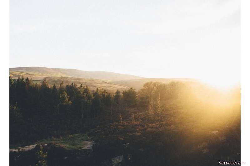 New Research Warns: Sunspot Cycle 25 May Be Record‑Breaking Strength