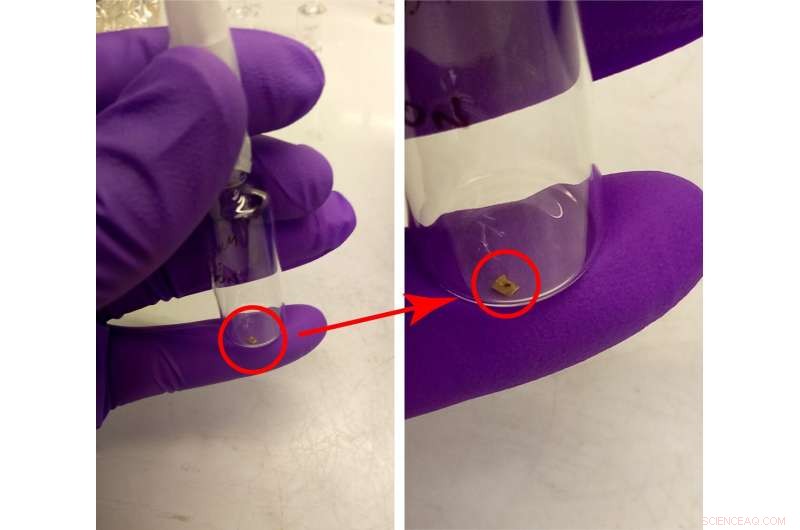 NASA Receives Ryugu Asteroid Dust, Scientists Set to Search for Life-Building Molecules