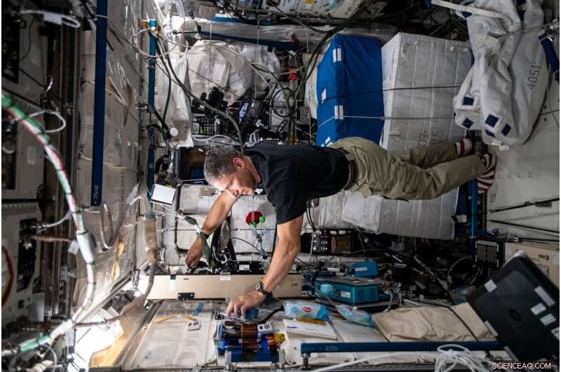 New Study Reveals How Astronauts  Nervous Systems Adapt to Microgravity