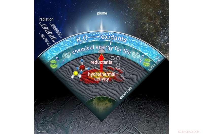 Enceladus Revealed: Diverse Metabolic Pathways Uncovered by Data Models