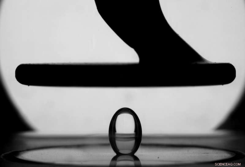 Space Bauble: A Stunning Bubble Captured by the Multiscale Boiling Experiment