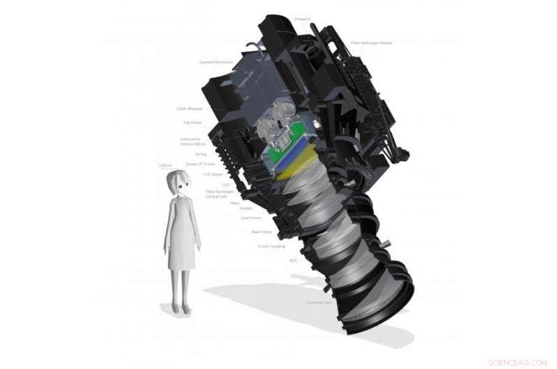 Primordial Black Holes: Probing Dark Matter in the Multiverse