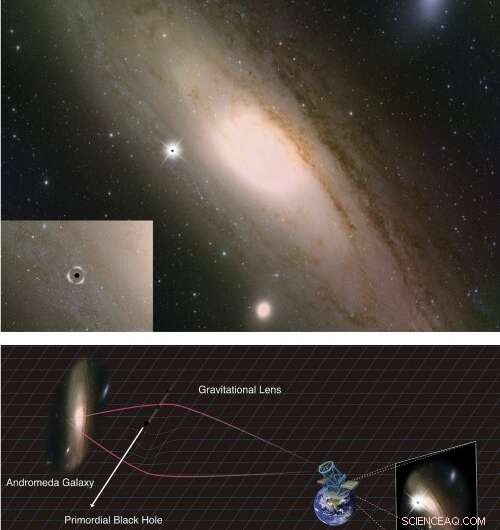 Primordial Black Holes: Probing Dark Matter in the Multiverse