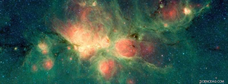BISTRO Survey Uncovers Intricate Magnetic Fields in Cat’s Paw Nebula