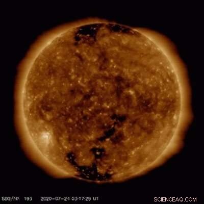 Solar Maximum: How Coronal Holes Shape Solar Wind