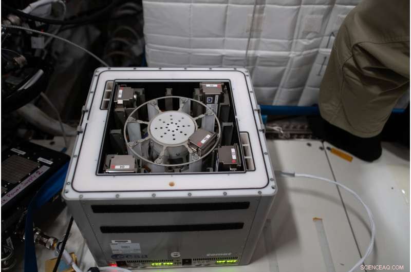 BioAsteroid: Microbes vs. Asteroid Fragments in Space Mining Experiment
