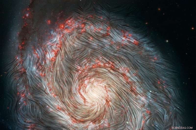 Unveiling the Whirlpool Galaxy’s Intricate Magnetic Fields