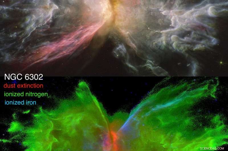 Hubble Reveals Detailed Anatomy of Planetary Nebulae: Astronomers Decode Dust and Elemental Emissions