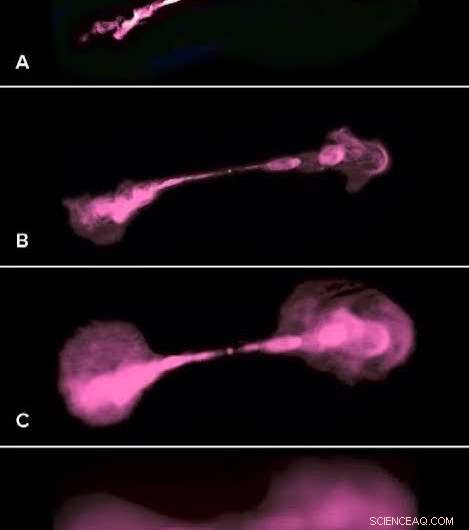 The Very Large Array: Revolutionizing Radio Astronomy with 27 Antennas