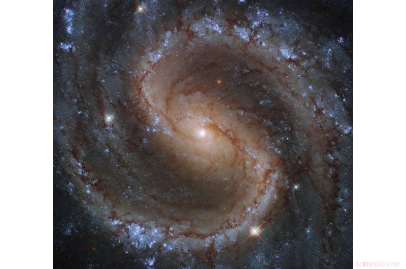 Hubble Captures Stunning Portrait of the Lost Galaxy (NGC 4535)