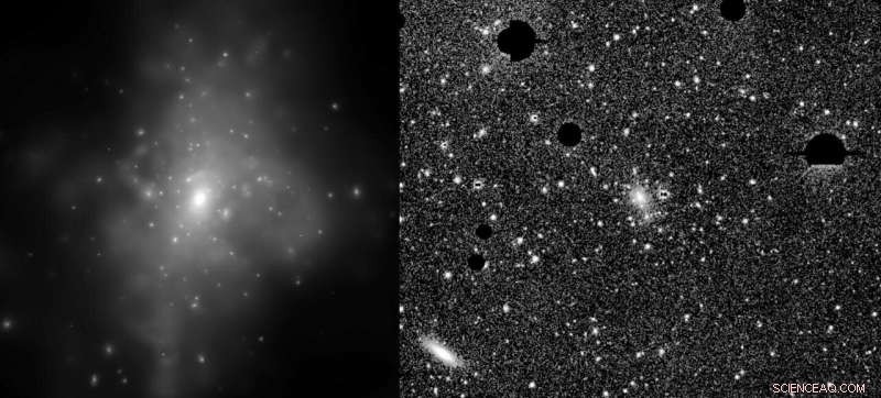 Precise Intracluster Light Measurements Hint at a Dark Matter Connection