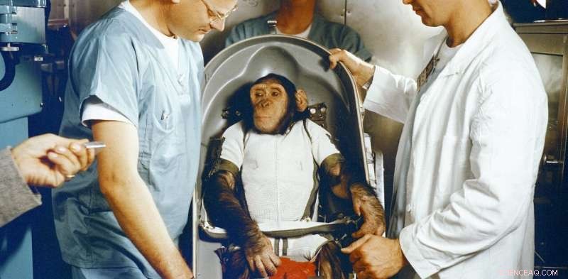 Ham the First Space Chimp: Milestones and Legacy of a Pioneer
