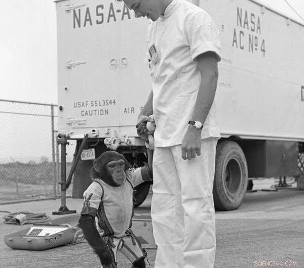 Ham the First Space Chimp: Milestones and Legacy of a Pioneer