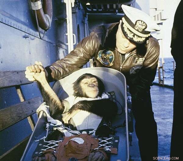 Ham the First Space Chimp: Milestones and Legacy of a Pioneer
