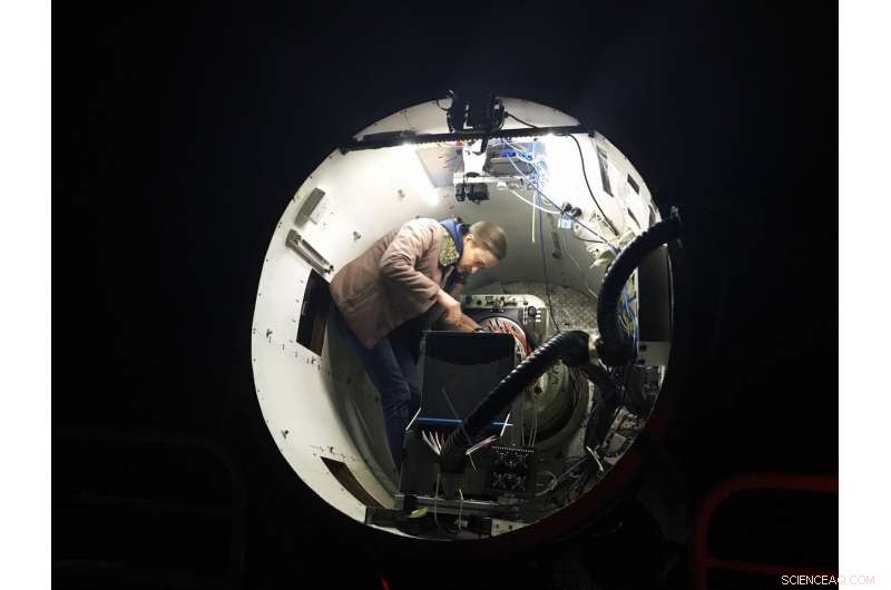 Unveiling 3,068 Galaxies: Insights into Spin, Growth, and Cosmic Clusters