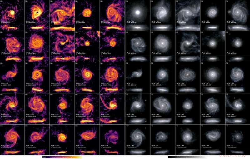 Extended Star Formation in Puffy Galaxies During the Cosmic Noon