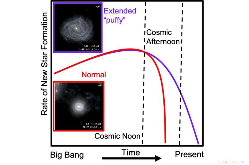 Extended Star Formation in Puffy Galaxies During the Cosmic Noon