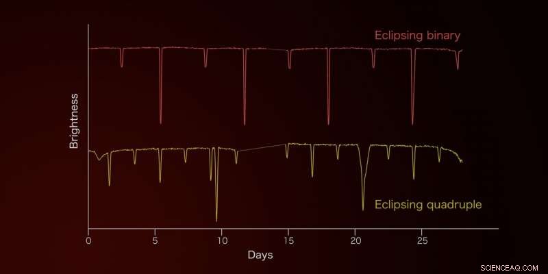 Machine Learning Unveils Stellar Classifications from TESS Data