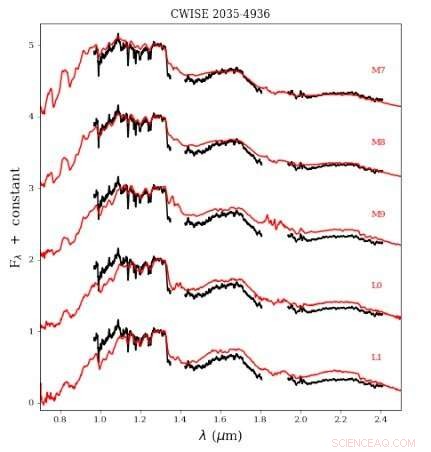 Citizen Scientists Uncover Low‑Mass Companion Star Orbiting APMPM J2036-4936