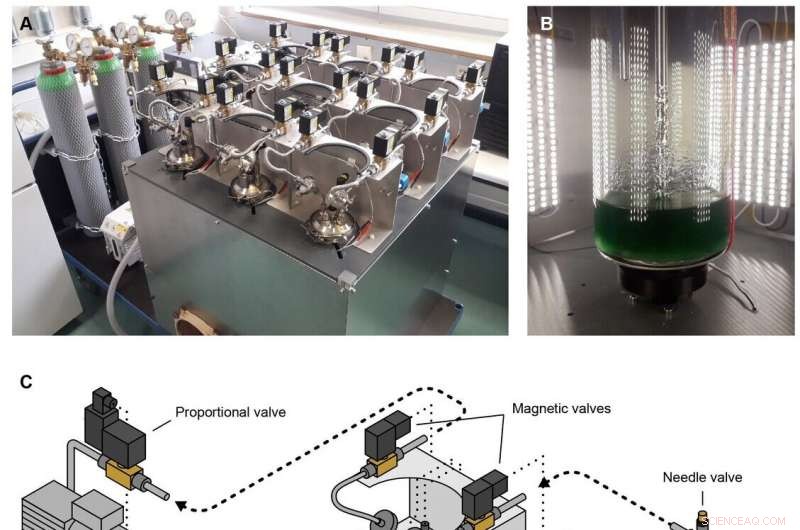 Revolutionary Biotech: Growing Cyanobacteria Under Mars‑Like Conditions