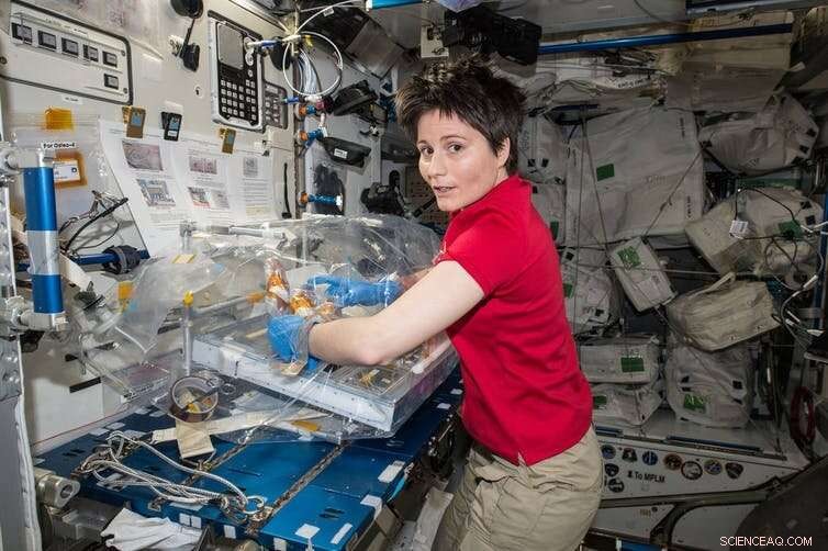 ESA Opens Call for Astronauts: Your Guide to Joining Europe’s Space Ambitions