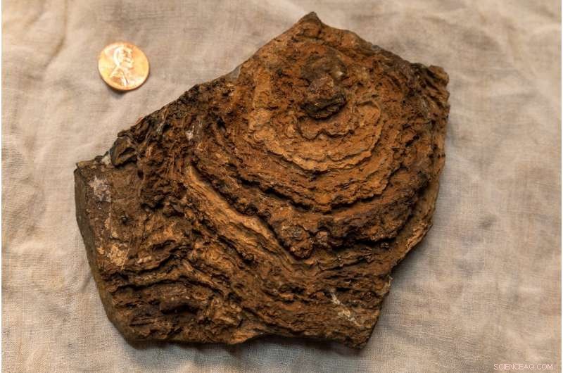 NASA’s Perseverance Rover Probes Martian Samples for Signs of Life