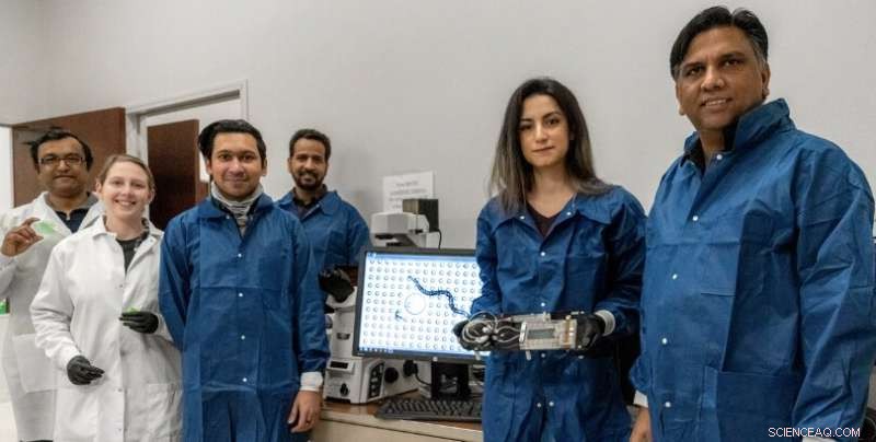 Tiny Seeds, Big Impact: Texas Tech’s Micro-16 Team Sends Life Science Experiments to the ISS