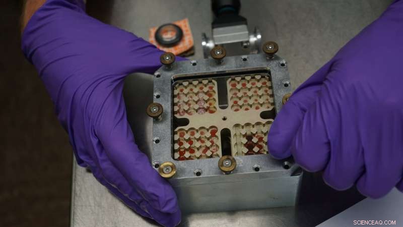 Earth Microbes May Survive Briefly on Mars, NASA Study Finds