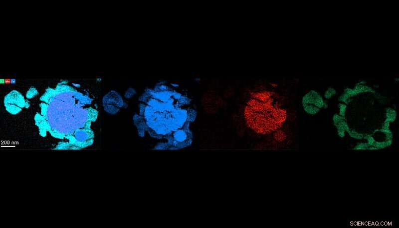 Groundbreaking Microbial Prototype Demonstrates Life on Authentic Martian Material