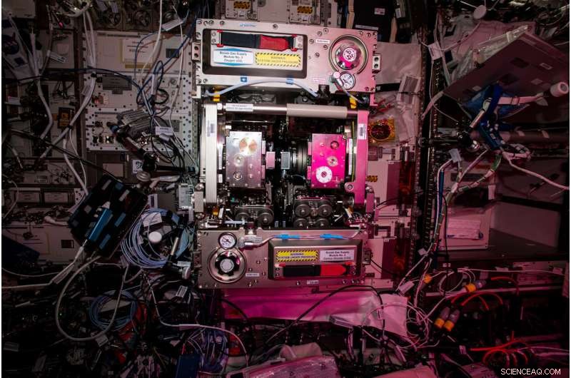 Inside ESA’s Columbus Biolab: A Glimpse of Tomorrow’s Space Missions