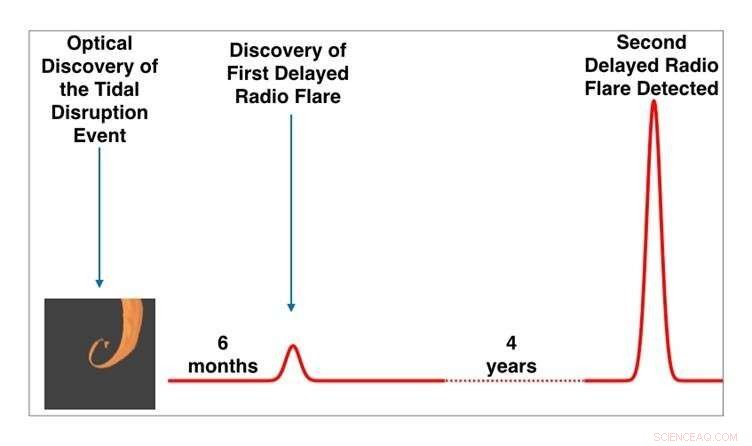 Late-Stage Radio Flares Reveal New Insights into Tidal Disruption Events