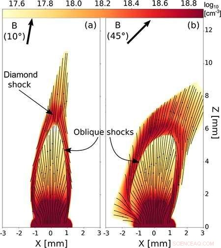 Magnetic Fields Sculpt the Shapes of Astrophysical Jets