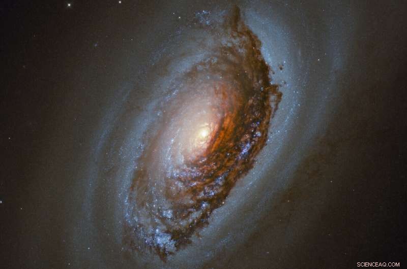 Hubble Captures Stunning View of NGC 4826, the Black Eye Galaxy