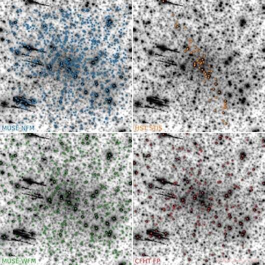 MUSE Uncovers Detailed Central Kinematics of Globular Cluster Messier 15