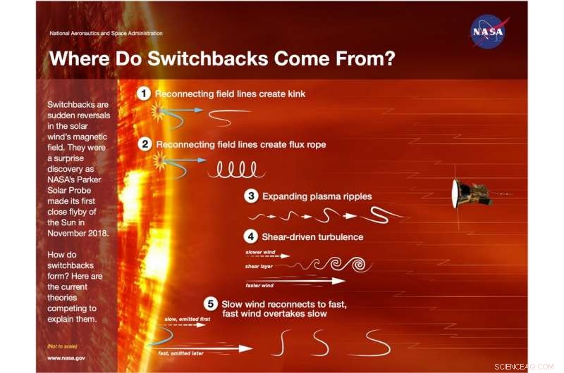 Unraveling Parker Solar Probe’s Magnetic Switchbacks: A Deep Dive
