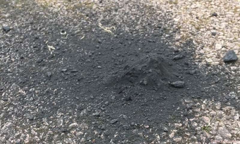 Scientists Unearth Rare Fireball Meteorite on Driveway: Insights into Cosmic Debris